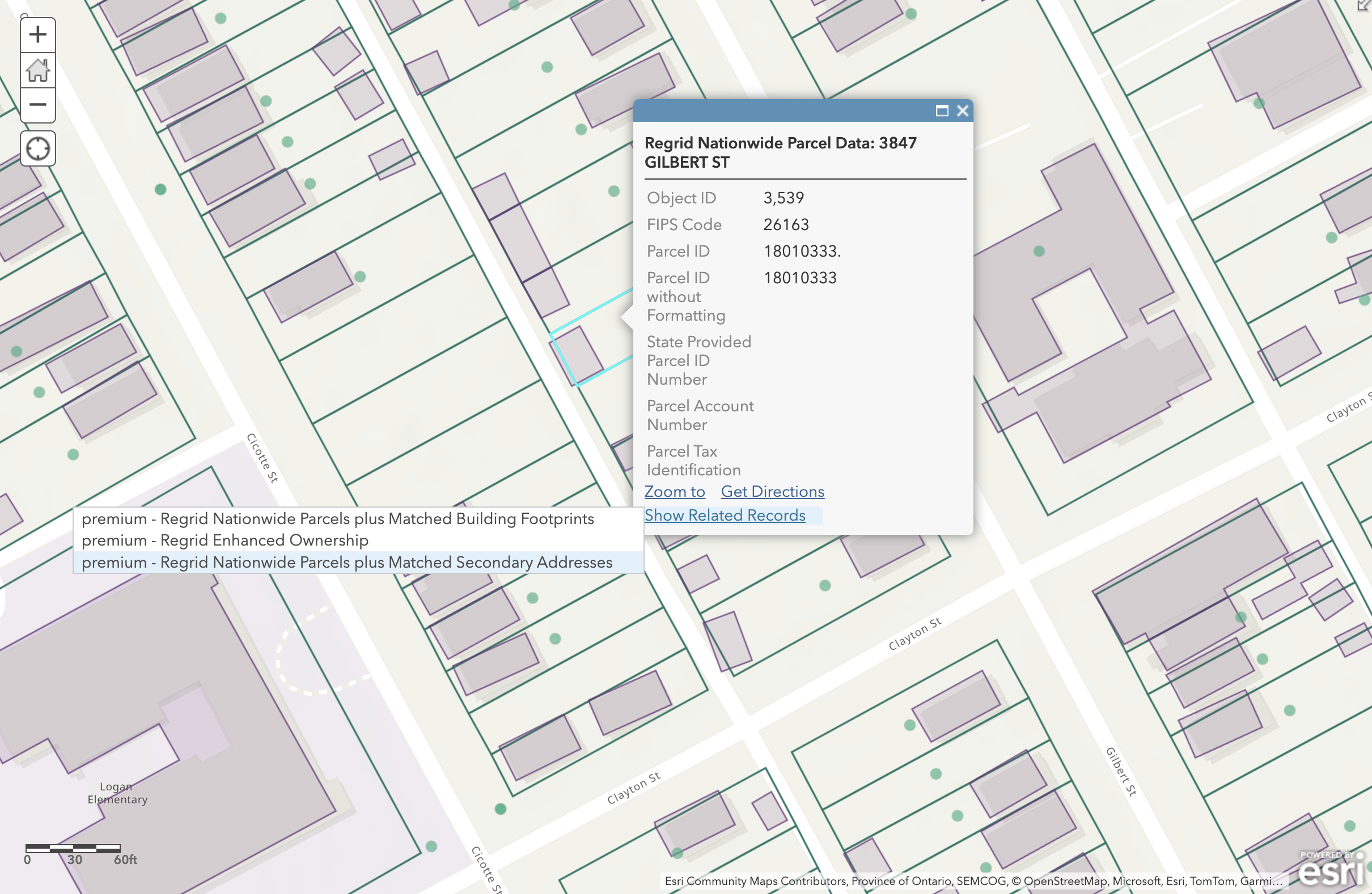 ArcGIS programs and SDKs can access and display related records.